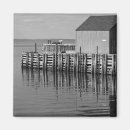 Search for harbours magnets Water