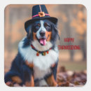 Search for thanksgiving greeting stickers Thankful