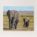 Search for african elephant puzzles Kenya africa