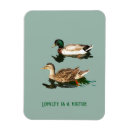 Search for duck magnets Nature