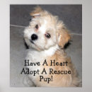 Search for adopt puppy posters Rescue