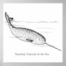 Search for narwhal posters Whale
