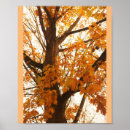 Search for colored leaf posters Season