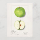 Search for malu postcards Apple
