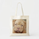 Search for mammals bags Dog