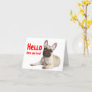 Search for bulldog mom postcards Thinking of you