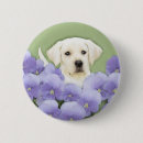 Search for puppy badges Retriever