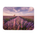 Search for crop magnets Purple