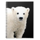 Search for polar bear notebooks Cub