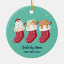 Search for kitty christmas tree decorations Cat lover