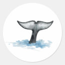 Search for orca stickers Ocean