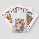 Search for dog playing cards Cat