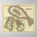 Search for kittes posters Nevis
