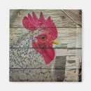 Search for coop magnets Rooster