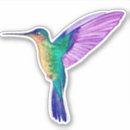 Search for colourful hummingbird stickers Tropical