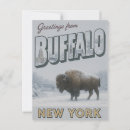Search for buffalo postcards New york