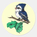 Search for blue jay bird stickers Animal