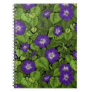 Search for morning glory notebooks Flowers