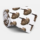 Search for sloth ties Wildlife