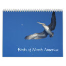 Search for bird calendars Wildlife