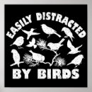 Search for birder posters Birds