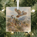 Search for partridge christmas tree decorations Chukar