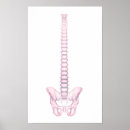 Search for backbone art Three dimensional