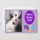 Search for dog easter cards Funny