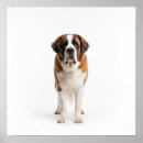 Search for bernard art Pet
