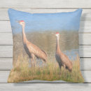 Search for crane cushions Animals