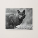 Search for black and white cat puzzles Animal