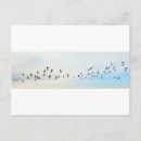 Search for bird flight postcards Flock