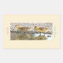 Search for babies rectangle stickers Party