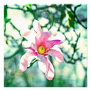 Search for magnolia art Feminine