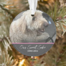 Search for pet supplies Sympathy