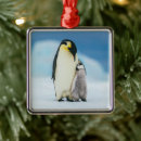 Search for animals of the wild christmas tree decorations Emperor penguin