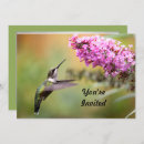 Search for wildlife invitations Hummingbird