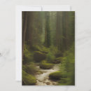 Search for mountain stream cards Forest