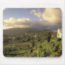 Search for indie electronics Tropical