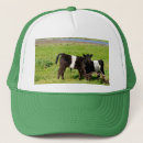 Search for calf hats Calves