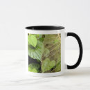 Search for central america mugs Rainforest