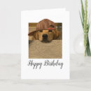 Search for funny baseball birthday cards Cute