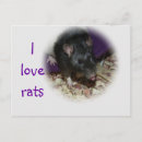 Search for rat lovers postcards Pet