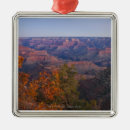 Search for arizona christmas tree decorations Outdoors