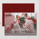 Search for snowfall christmas cards Red