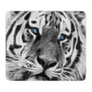 Search for tiger chopping boards Stripes