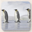 Search for penguin barware Animals