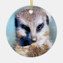 Search for meerkat christmas decor wildlife