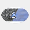 Search for white breasted nuthatch stickers Bird