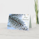 Search for branches christmas cards Pine needles